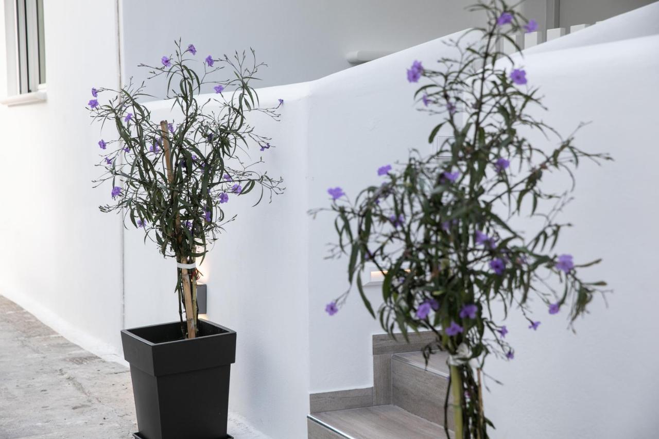 Anemela Studio Lux Naxos City ภายนอก รูปภาพ